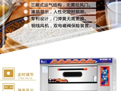 广东南国宝力牌燃气烤箱厂家 电烧烤炉批发价格图2