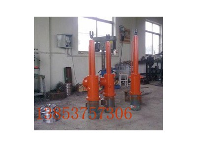 DYTZ电液推杆 电动液压推杆  DYTZ1000液压推杆图2