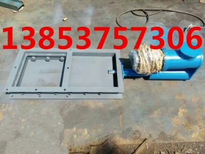 DYLV-0.6型电液动推杆平板闸阀图3