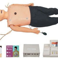 KAY/ACLS800A高级多功能急救训练模拟人心肺复苏模型