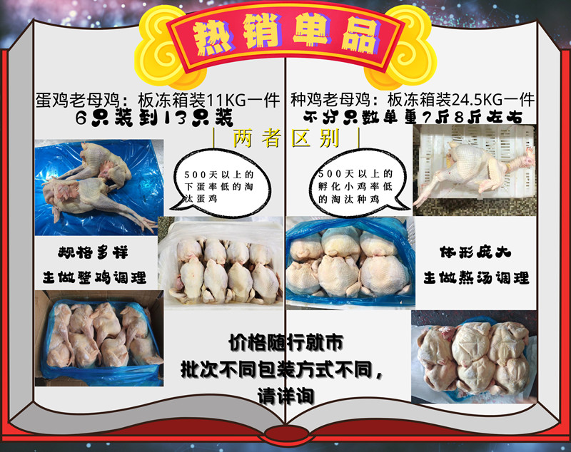 老母鸡_副本
