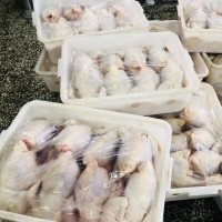 老母鸡的做法_老母鸡的用途_冻品老母鸡批发_山东冷冻厂家供应