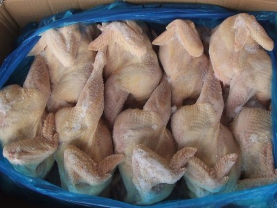 老母鸡的做法_老母鸡的用途_冻品老母鸡批发_山东冷冻厂家供应图2