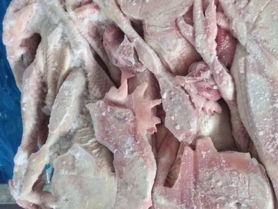 老母鸡的做法_老母鸡的用途_冻品老母鸡批发_山东冷冻厂家供应图3
