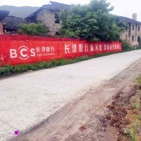 巴中电动车农村广告墙体一点一滴解你难
