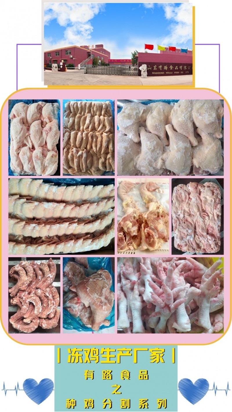 种鸡分割系列竖