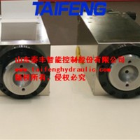 供应泰丰WST200数控折弯机油缸