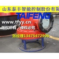 充液阀-山东泰丰液压股份有限公司CF1-H100B